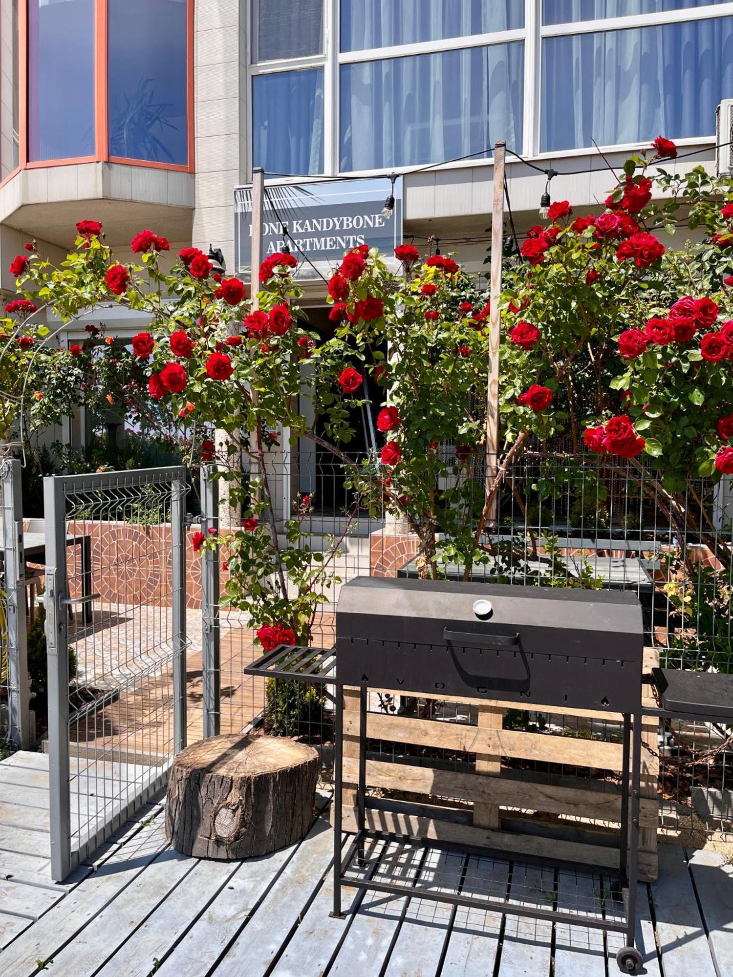 Done Kandybone Apartments Burlach'ya Balka Екстериор снимка